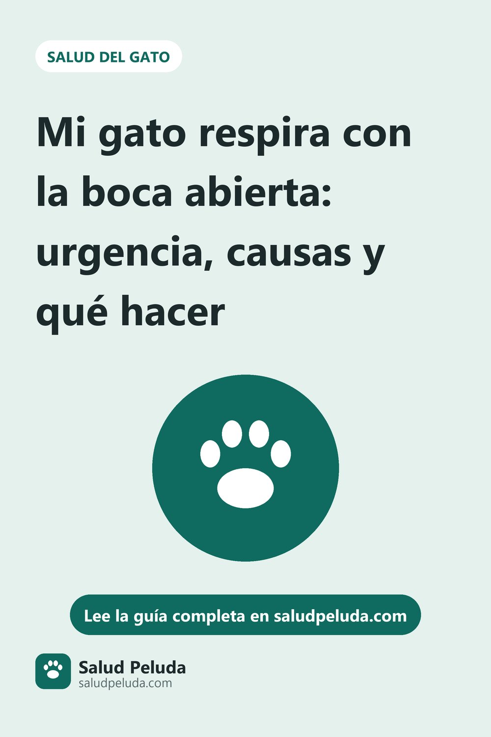 Imagen para Pinterest: Mi gato respira con la boca abierta: urgencia, causas y qué hacer