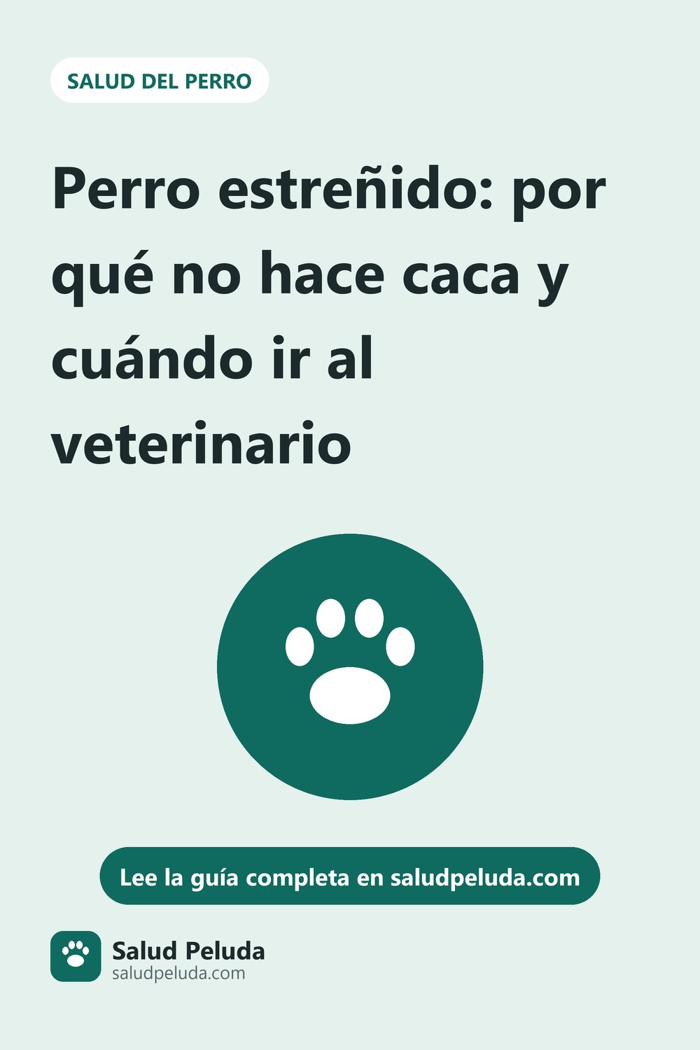 Imagen para Pinterest: Perro estreñido: por qué no hace caca y cuándo ir al veterinario