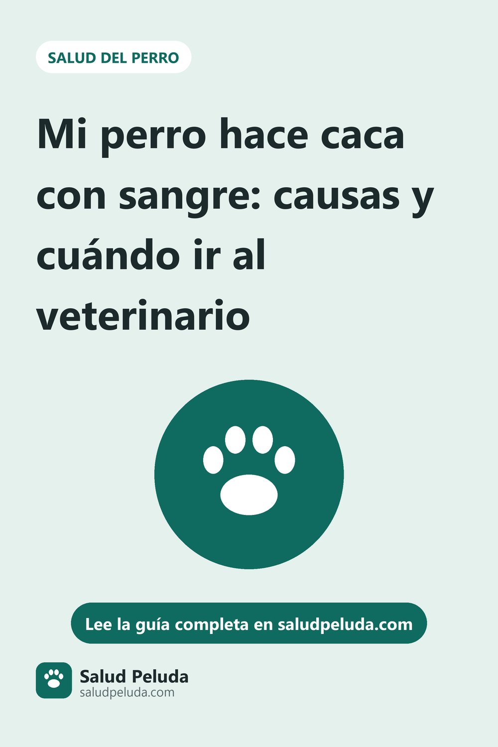 Imagen para Pinterest: Mi perro hace caca con sangre: causas y cuándo ir al veterinario