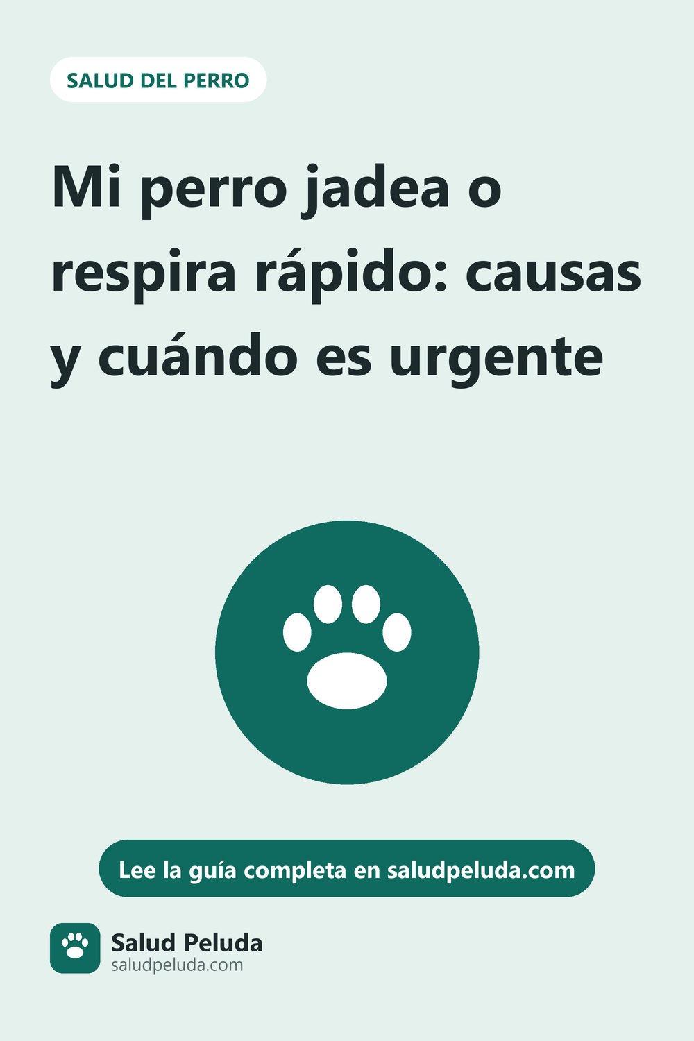 Imagen para Pinterest: Mi perro jadea o respira rápido: causas y cuándo es urgente