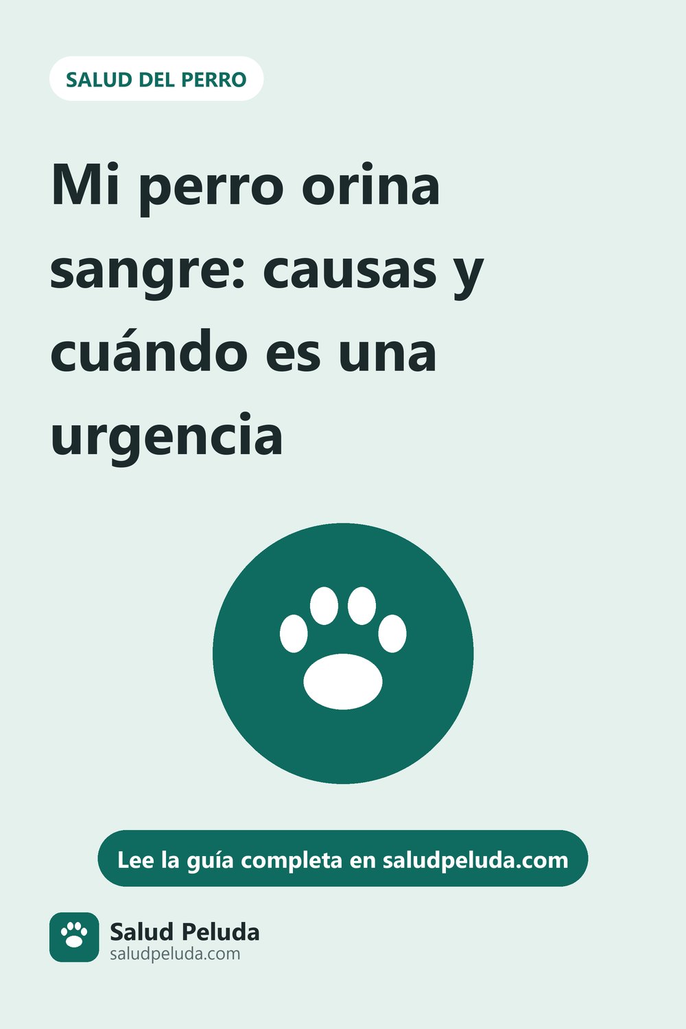 Imagen para Pinterest: Mi perro orina sangre: causas y cuándo es una urgencia