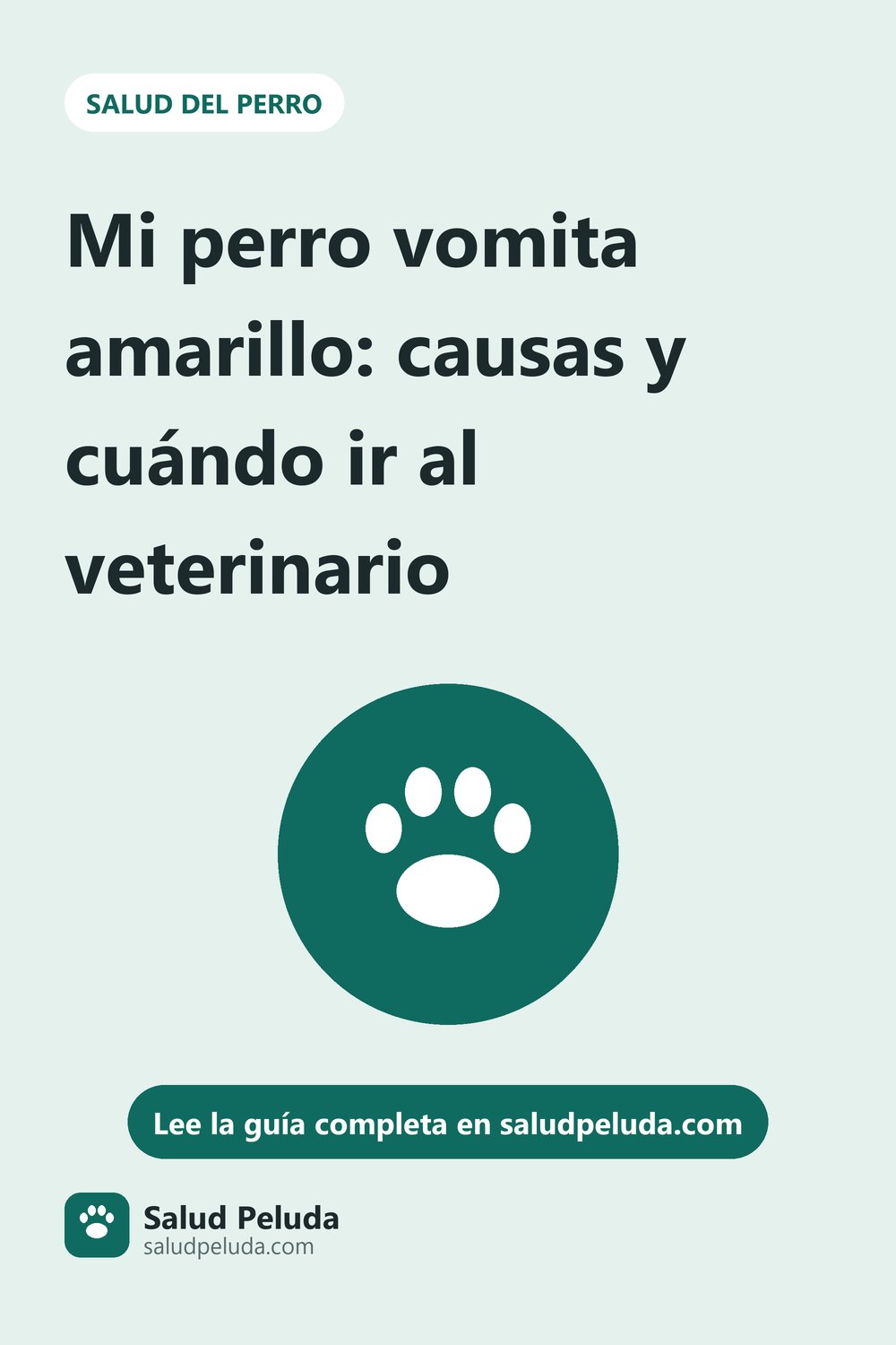 Imagen para Pinterest: Mi perro vomita amarillo: causas y cuándo ir al veterinario